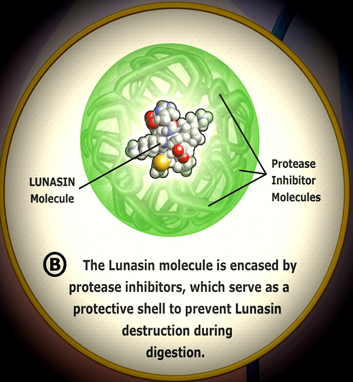 2014-08-08 15.01.50.png image